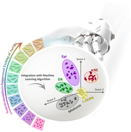 Graphical abstract: Machine learning-powered plasmonic pattern recognition: etch-suppressed gold nanorods for multiplex urinary analysis of catecholamine neurotransmitters