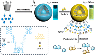 Graphical abstract: Efficient supramolecular artificial light-harvesting systems based on an AIE-active calix[4]arene derivative for cross-dehydrogenative coupling reaction