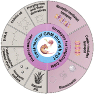 Graphical abstract: Overcoming the blood–brain barrier challenge: nanotechnology-enhanced photodynamic therapy for glioblastoma treatment