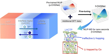 Graphical abstract: Revealing cobalt-induced Li-ion trapping at the LATP/LCO interface with a fine-tuned machine learning interatomic potential