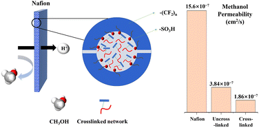 Graphical abstract: Effects of a sulfonated hydrophilic cross-linked network on the microstructure and properties of Nafion matrix