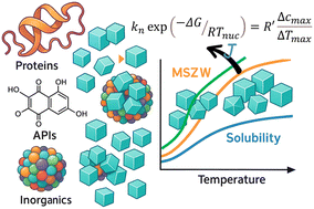Graphical abstract: Nucleation rate and Gibbs free energy of nucleation of APIs, large molecule, amino acid and inorganic materials in solution at different cooling rates