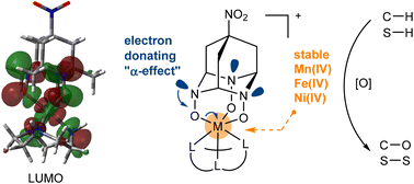 Graphical abstract: Transition metal(iv) complexes of nitro-substituted 2,4,9-triazaadamantane-based tris-hydroxylamines: evidence for nitrogen α-effect on stabilization of higher oxidation states