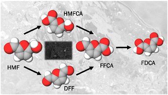 Graphical abstract: Recent developments in solvent and catalyst selection for 5-hydroxymethylfurfural oxidation to 2,5-furandicarboxylic acid