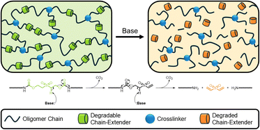 Graphical abstract: Thermally and base-triggered ‘debond-on-demand’ crosslinked polyurethane adhesives