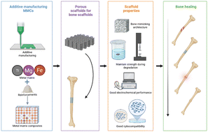 Graphical abstract: Additively manufactured metal-matrix composites and their assessment as orthopedic implants