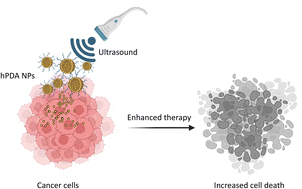 Graphical abstract: Hollow-core polydopamine nanocarriers for ultrasound-enhanced drug delivery