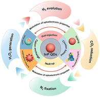 Graphical abstract: Engineering indium phosphide quantum dots for solar-driven energy conversion applications