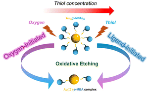 Graphical abstract: Unraveling a ligand-initiated oxidative etching pathway in gold nanoclusters