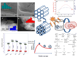 Graphical abstract: Size-controlled CuO nanoparticles in KIT-6: magneto-photocatalytic properties and mechanistic insights