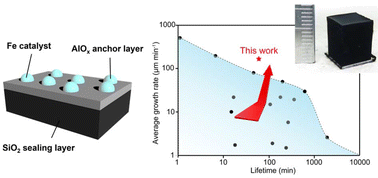 Graphical abstract: Rapid and sustained growth of carbon nanotube forests through coupled support design and catalyst particle formation dynamics