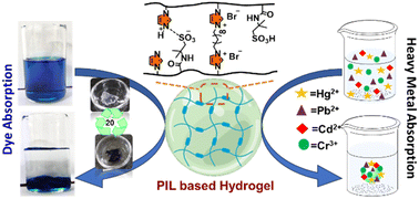 Graphical abstract: A multifaceted poly(ionic liquid)-based superabsorbent hydrogel for simultaneous removal of heavy metals and synthetic dyes
