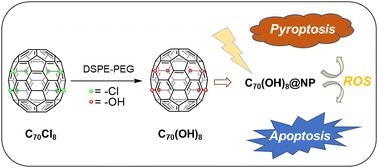 Graphical abstract: Hydroxyl-modified fullerene C70(OH)8 induces pyroptosis for cancer therapy