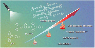 Graphical abstract: Supramolecular assembly of an organoplatinum(ii) complex boosts intersystem crossing for potentiated photocatalytic therapy and disulfidptosis