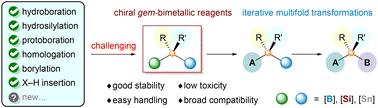 Graphical abstract: Asymmetric synthesis of chiral sp3-geminated borylstannyl, borylsilyl, and diboryl compounds