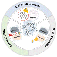 Graphical abstract: Recent advances in repurposing natural enzymes for new-to-nature asymmetric photobiotransformations