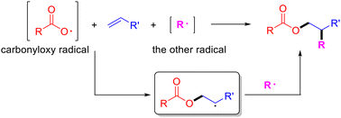 Graphical abstract: Recent advances in the intermolecular addition of carbonyloxy radicals to alkenes