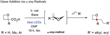 Graphical abstract: Visible-light-mediated synthesis of 2-oxetanes via Giese addition to α-oxy radicals