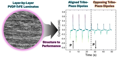 Graphical abstract: Multi-layered laminate architectures enhance the electromechanical response of PVDF–TrFE films