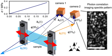 Graphical abstract: Probing microscopic dynamics in a uni-axially strained polymer network with light scattering