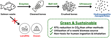 Graphical abstract: Transforming waste fish bones into nanoparticles with ultrasound and aqueous organic acids
