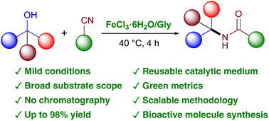 Graphical abstract: A sustainable twist on the Ritter reaction: iron-based deep eutectic solvents as a green route to amide synthesis