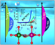 Graphical abstract: Unraveling eg-band modulation as an alternative strategy to enhance lattice oxygen participation and oxygen electrocatalytic bifunctionality via switching the active site