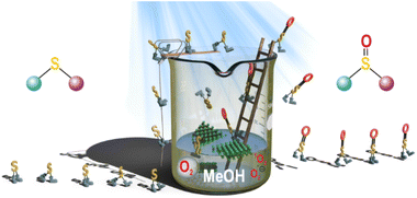 Graphical abstract: Revealing the photochemical activity of fluorographene towards organic transformations: selective aerobic photooxidation of sulfides to sulfoxides