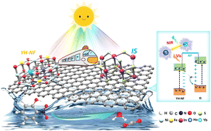 Graphical abstract: Yb/Ho co-doping and rGO bridging enhance visible-to-NIR-light-driven photocatalysis in an S-scheme heterojunction
