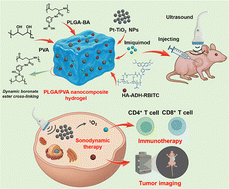 Graphical abstract: pH-responsive injectable nanocomposite hydrogel based on dynamic boronate ester bonds loading Pt–TiO2 nanoparticles and fluorescence probe for synergistic sonodynamic-immunotherapy and imaging of cancer