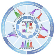 Graphical abstract: Photoluminescent materials for solar spectral conversion greenhouse films