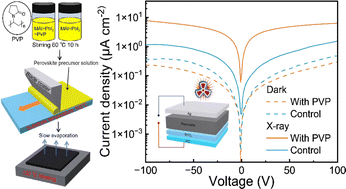 Graphical abstract: Polyvinylpyrrolidone-enhanced perovskite films for efficient direct X-ray detection