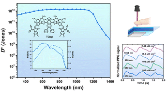 Graphical abstract: Exploration of a proquinoidal [1,2,5]thiadiazolo[3,4-g]quinoxaline-based small molecule acceptor toward high-sensitivity shortwave infrared photodetection