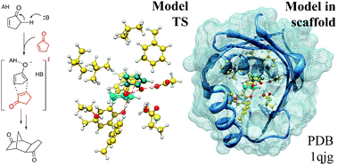 Graphical abstract: Envisioning an enzymatic Diels–Alder reaction by in situ acid–base catalyzed diene generation