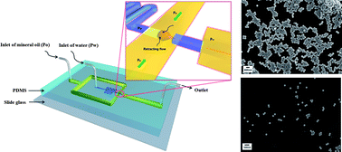 Graphical abstract: Controlled generation of submicron emulsion droplets via highly stable tip-streaming mode in microfluidic devices