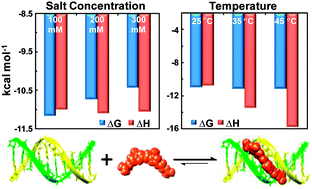 Graphical abstract: Different thermodynamic signatures for DNA minor groove binding with changes in salt concentration and temperature