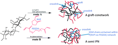 Graphical abstract: Glucomannan-poly(N-vinyl pyrrolidinone) bicomponent hydrogels for wound healing