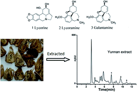 Graphical abstract: Sensitive and simultaneous determination of active components in Lycoris radiata and rat plasma by HPLC with fluorescence detection