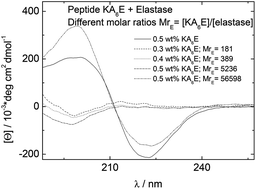 Graphical abstract: Influence of elastase on alanine-rich peptide hydrogels