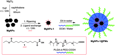 Graphical abstract: Surface chemistry and entrapment of magnesium nanoparticles into polymeric micelles: a highly biocompatible tool for photothermal therapy