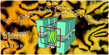 Graphical abstract: Modulated SmAb phases formed by anchor shaped liquid crystalline molecules