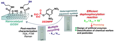 Graphical abstract: Functionalized graphene oxide as a nanocatalyst in dephosphorylation reactions: pursuing artificial enzymes