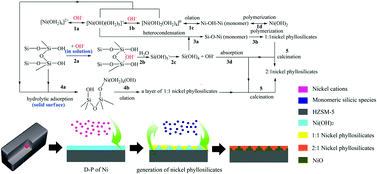 Graphical abstract: Towards a full understanding of the nature of Ni(ii) species and hydroxyl groups over highly siliceous HZSM-5 zeolite supported nickel catalysts prepared by a deposition–precipitation method