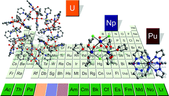 Graphical abstract: Actinide-based single-molecule magnets