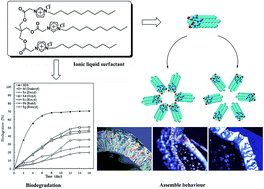 Graphical abstract: Tris-imidazolium and benzimidazolium ionic liquids: a new class of biodegradable surfactants