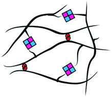 Graphical abstract: Zwitterionic copolymer-based and hydrogen bonding-strengthened self-healing hydrogel
