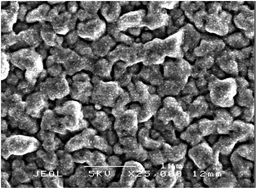 Graphical abstract: Antimicrobial activity of copper and copper(i) oxide thin films deposited via aerosol-assisted CVD