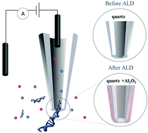 Graphical abstract: Fine tuning of nanopipettes using atomic layer deposition for single molecule sensing