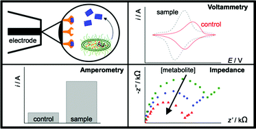 Graphical abstract: Fundamentals, achievements and challenges in the electrochemical sensing of pathogens