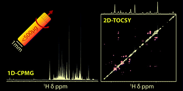 Graphical abstract: High-resolution NMR-based metabolic detection of microgram biopsies using a 1 mm HRμMAS probe